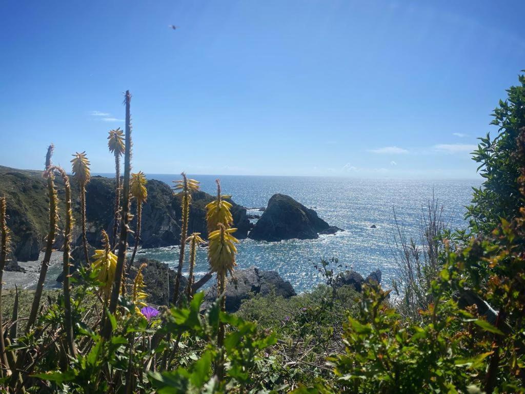 Casa Do Brejao Campo E Praia Odemira Kültér fotó