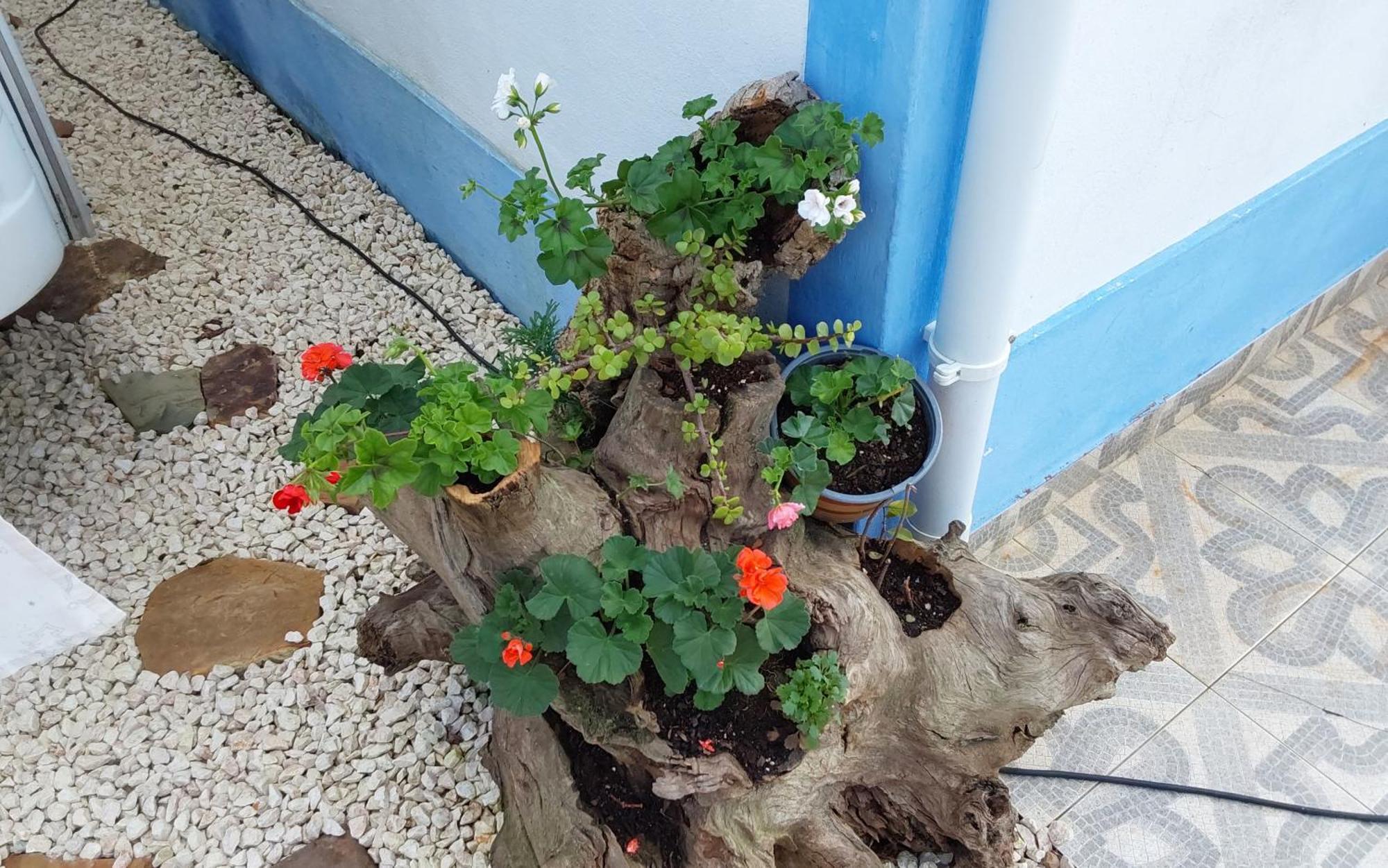 Casa Do Brejao Campo E Praia Odemira Kültér fotó