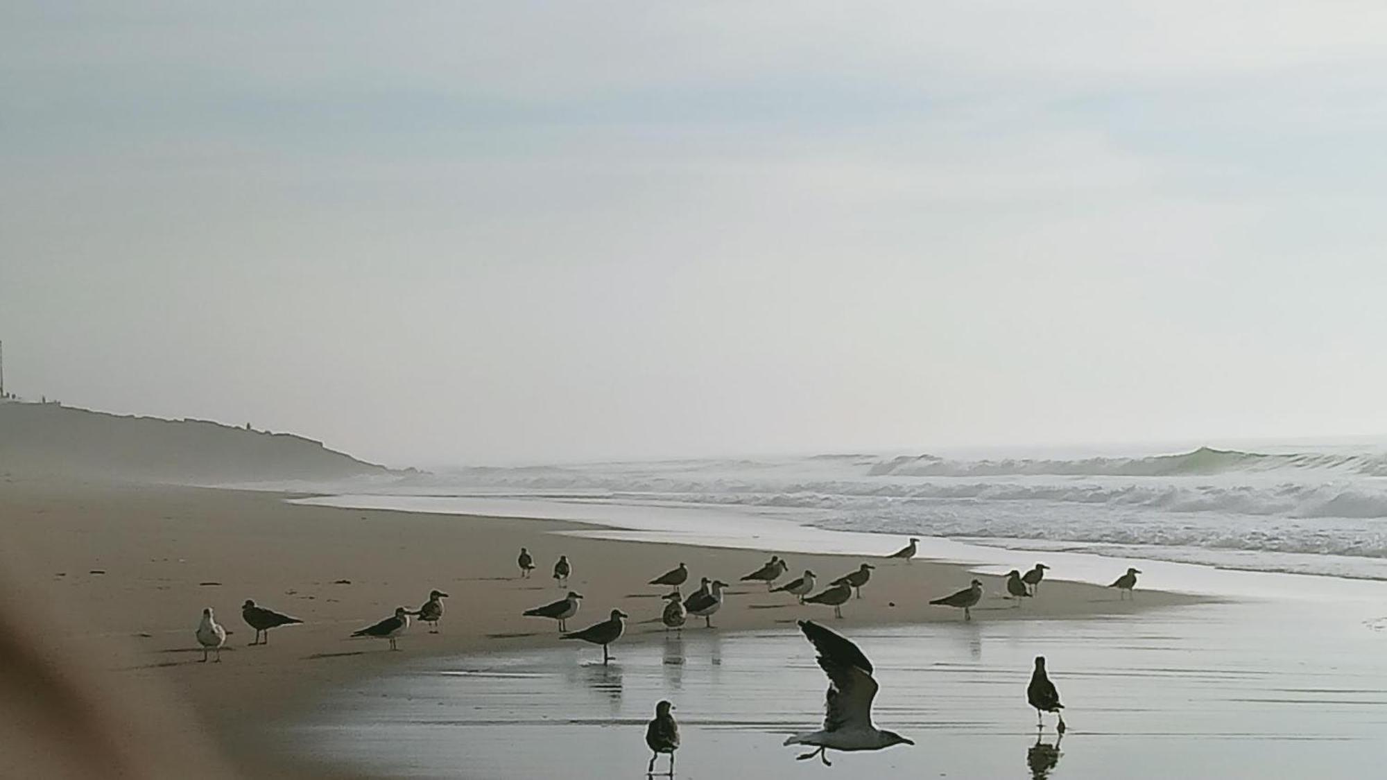 Casa Do Brejao Campo E Praia Odemira Kültér fotó